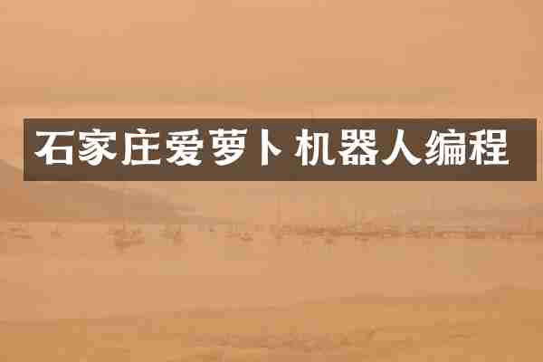 石家庄爱萝卜机器人编程