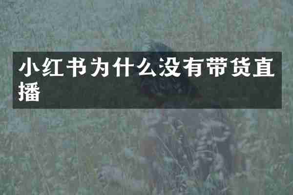 小红书为什么没有带货直播