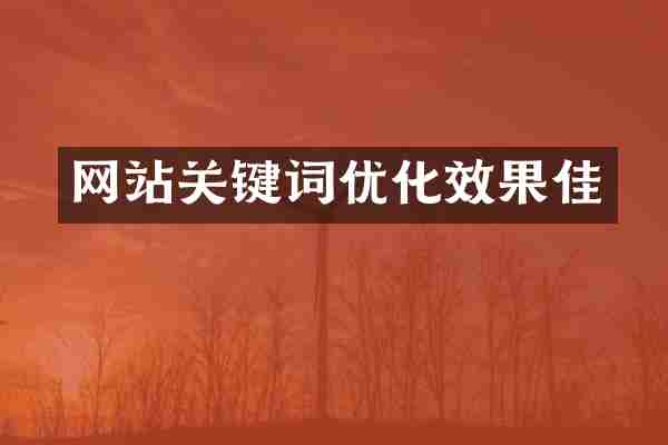 网站关键词优化效果佳