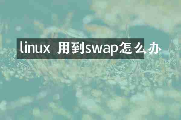 linux 用到swap怎么办