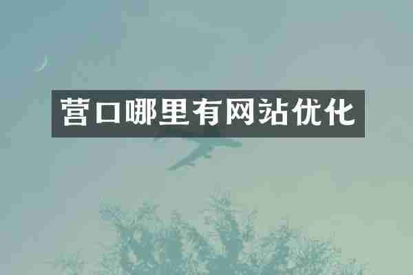 营口哪里有网站优化