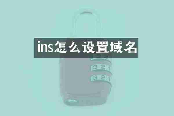 ins怎么设置域名