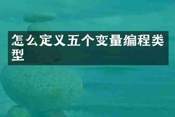 怎么定义五个变量编程类型