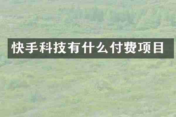 快手科技有什么付费项目