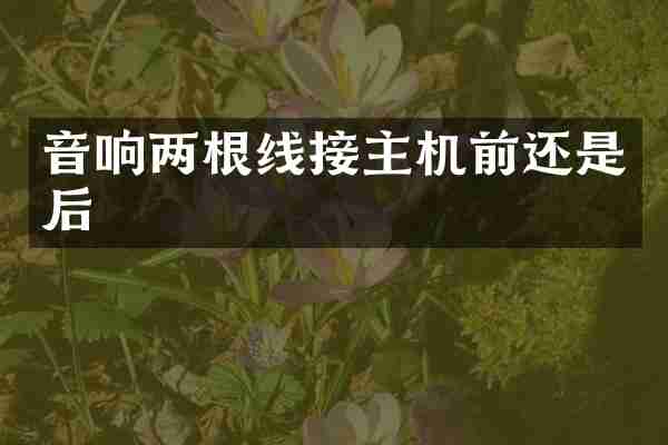 音响两根线接主机前还是后