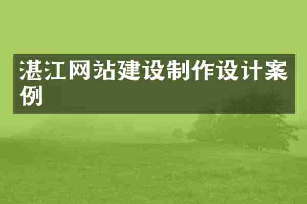 湛江网站建设制作设计案例
