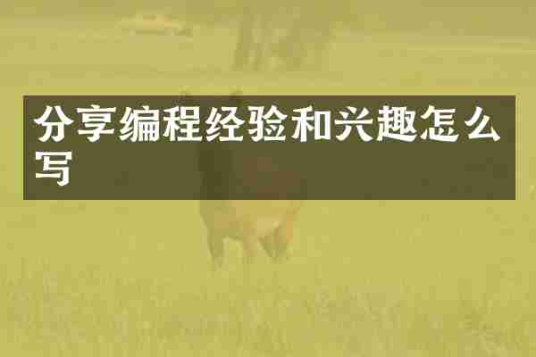 分享编程经验和兴趣怎么写