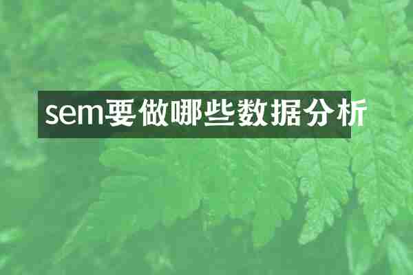 sem要做哪些数据分析