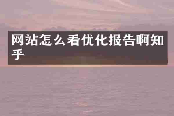 网站怎么看优化报告啊知乎