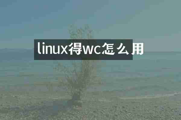linux得wc怎么用