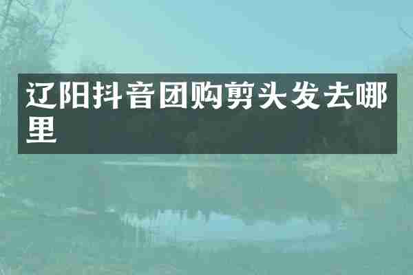 辽阳抖音团购剪头发去哪里