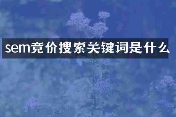 sem竞价搜索关键词是什么