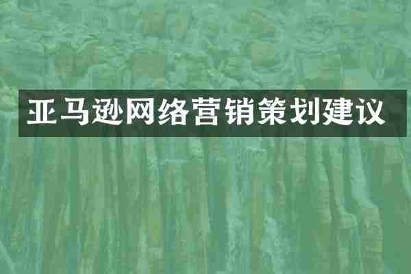 亚马逊网络营销策划建议