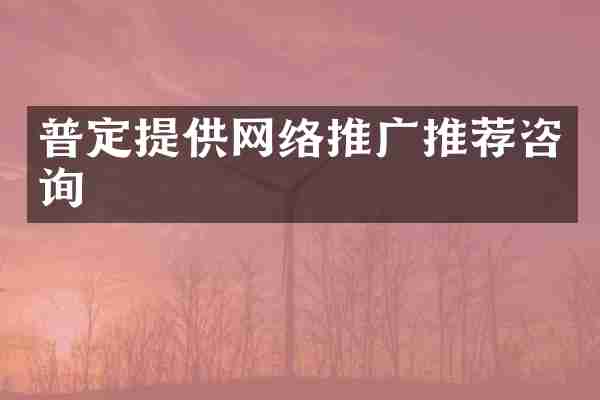 普定提供网络推广推荐咨询