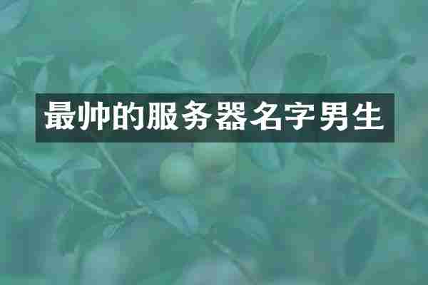 最帅的服务器名字男生