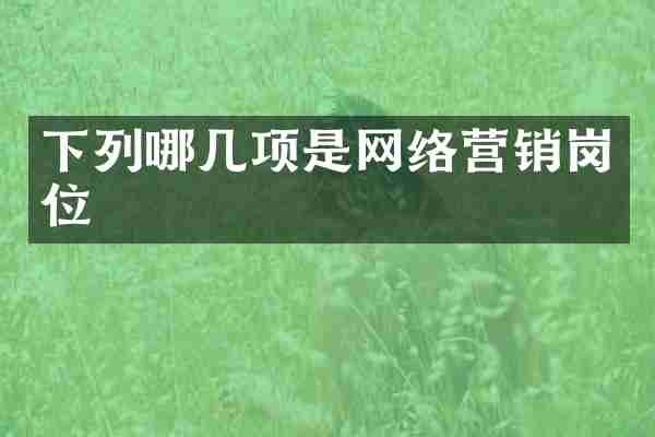 下列哪几项是网络营销岗位