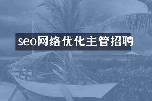 seo网络优化主管招聘