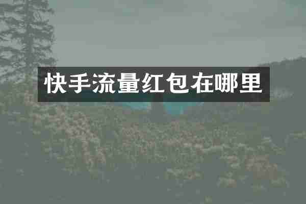 快手流量红包在哪里