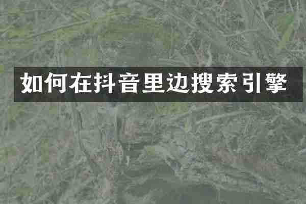 如何在抖音里边搜索引擎