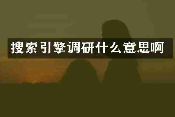 搜索引擎调研什么意思啊
