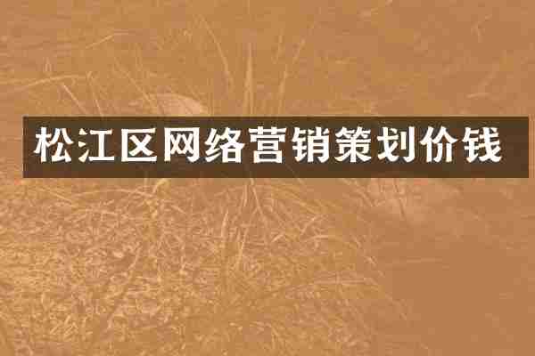 松江区网络营销策划价钱
