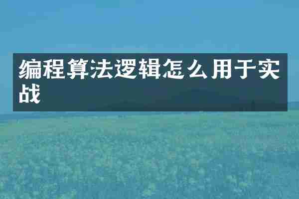 编程算法逻辑怎么用于实战