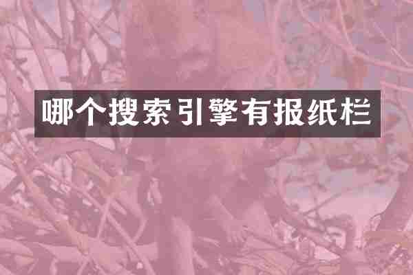 哪个搜索引擎有报纸栏
