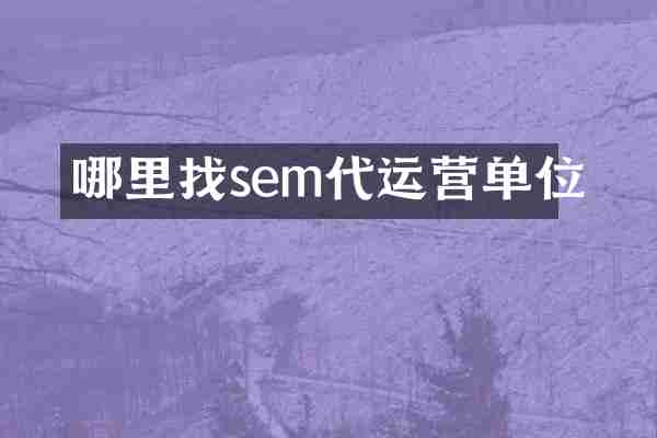 哪里找sem代运营单位