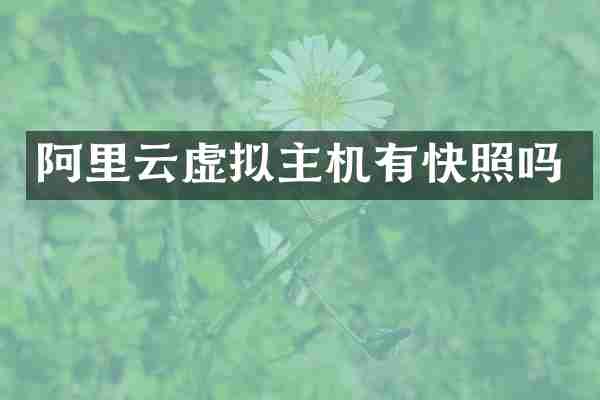 阿里云虚拟主机有快照吗
