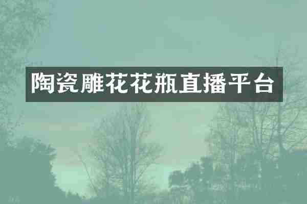 陶瓷雕花花瓶直播平台