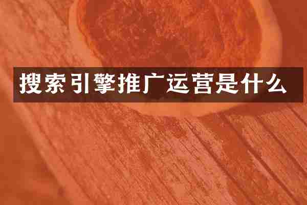 搜索引擎推广运营是什么