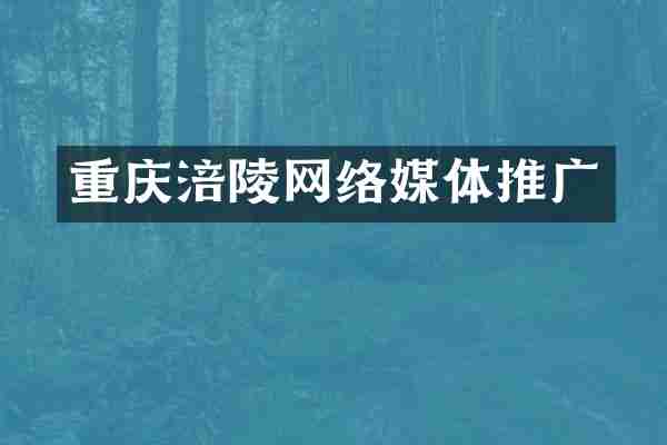 重庆涪陵网络媒体推广