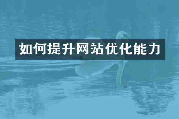 如何提升网站优化能力