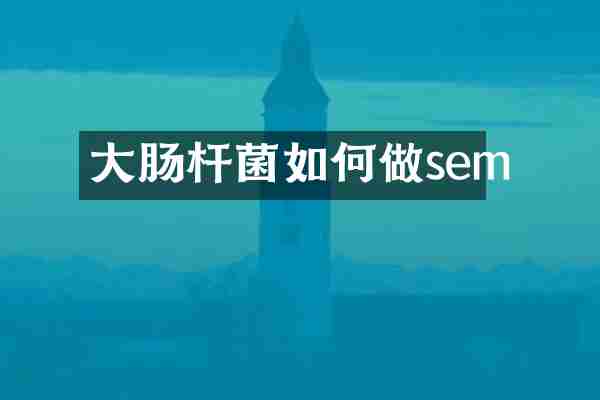 大肠杆菌如何做sem