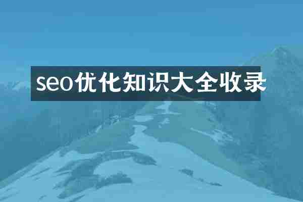 seo优化知识大全收录