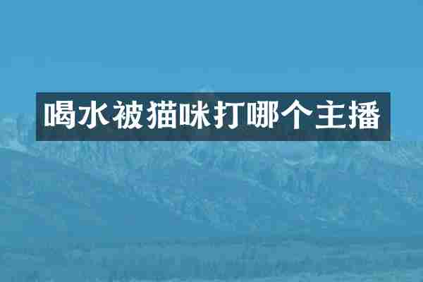 喝水被猫咪打哪个主播