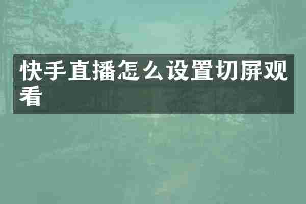 快手直播怎么设置切屏观看