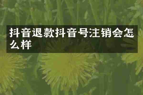 抖音退款抖音号注销会怎么样
