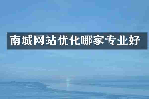 南城网站优化哪家专业好