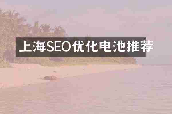 上海SEO优化电池推荐