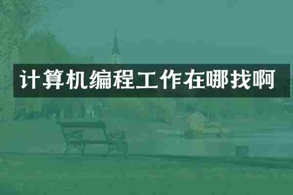 计算机编程工作在哪找啊