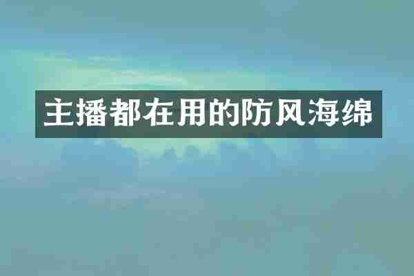 主播都在用的防风海绵