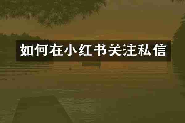 如何在小红书关注私信