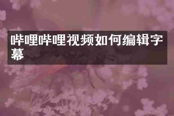 哔哩哔哩视频如何编辑字幕