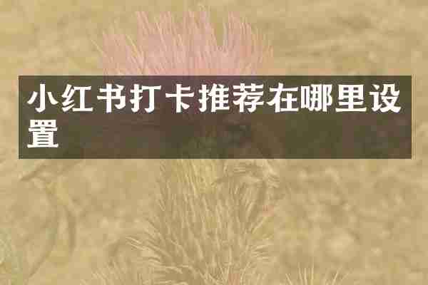 小红书打卡推荐在哪里设置