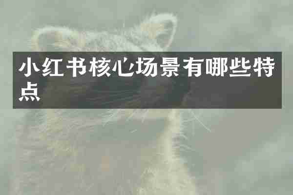 小红书核心场景有哪些特点