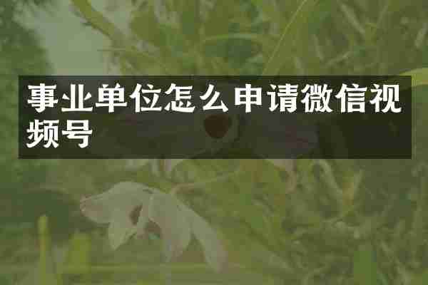 事业单位怎么申请微信视频号
