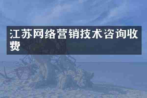 江苏网络营销技术咨询收费