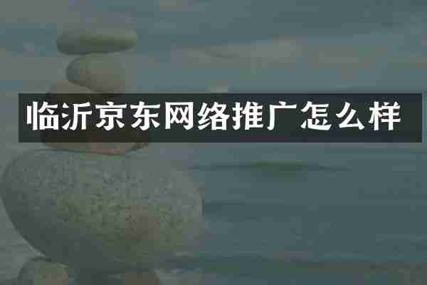 临沂京东网络推广怎么样