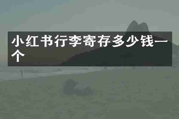 小红书行李寄存多少钱一个